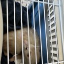 오석헌동물병원 이미지