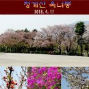 청계산 옥녀봉 (35 매화산악회 정기산행 - 2018. 4. 17) 이미지
