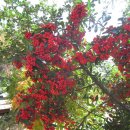 전원식당 이미지