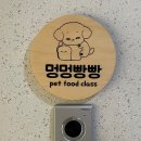 멍멍빵빵 이미지