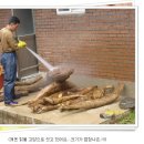 큰형네건강즙