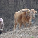 탁구교실(B) 이미지