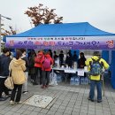 연지동-9 이미지