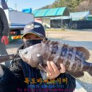 독도바다낚시터 이미지