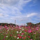 가덕면 행정복지센터 이미지