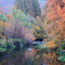 수채화(오후) 이미지