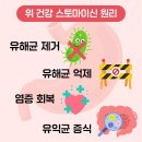 통증 예방 치료 기체조 | 헬리코박터제균치료 1차 2차