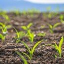 청라연세어린이병원 이미지