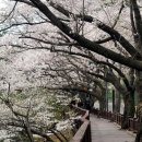 안민고개길 이미지