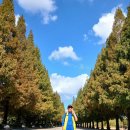 일산호수공원 이미지