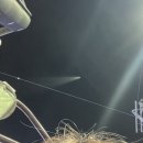 덕암고등학교 | 한때는 애틋했던 우리니까