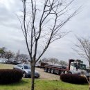 진평왕릉 화장실 이미지