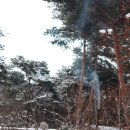 솔토락펜션 이미지