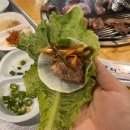 매월농원 이미지