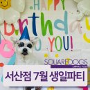 스퀘어독스 서산점 이미지