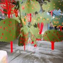 성지 당구장 이미지