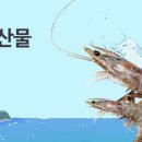 전남지방우정청 이미지