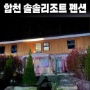 솔솔리조트 2호점 | 합천 솔솔리조트 펜션 2호 내돈내산 추천후기