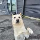 동심 V - LOG 이미지