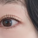 오늘도 눈부시다