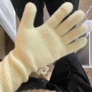 쏠트리 | [Gift] 아모멘토 핑거홀 장갑 라임 컬러 후기 (AMOMENTO_FINGERHOLE GLOVES)