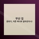 하나로커튼