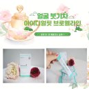 아이디얼핏 이미지