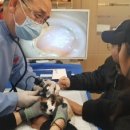 속초동물의료센터 이미지