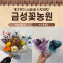 금성유치원 | (내돈내산)오산 졸업꽃다발 수료꽃다발 미니꽃다발 두번째방문기 금성꽃농원