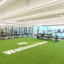 웰니스무브 이미지