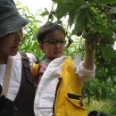 송제농원 이미지