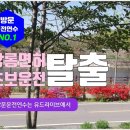 열심 | 인천자차운전연수 10시간 실전연수 열심 후기
