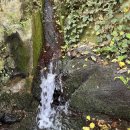 중문동-4 이미지