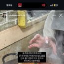 에스엠싸인 이미지
