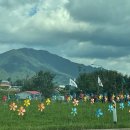 메그 | 포천 대형 브런치 카페 메그 후기