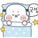 카페리빈강남