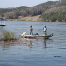 남이섬여행펜션 이미지