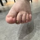 레푸스앤두두뷰티 이미지