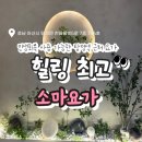 소마필라테스&무용 | [충남/아산] 소마요가/탕정역 근처 요가/몸과 마음 모두 건강해질 수 있는 운동/직장인 운동 추천