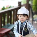 레몬트리 이미지