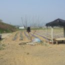 하리 농장 이미지