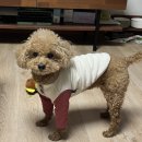 우다다포토