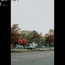 K씨의 꿈 이미지