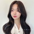 라리엔 - 강남구 | 라리엔