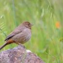 법원체육공원 축구장 이미지