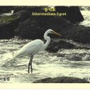 부석우체국 이미지