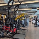 595 | 평택 헬스 48번째 운동 기록ㅣ등·삼두 루틴 595kcal 소모 후기