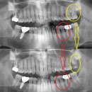본정치과의원 이미지
