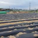 광성농장 이미지