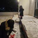 포도밭 옆 펜션 | [거창] 1박 2일 거창 가족여행, 수승대 눈썰매장, 포도밭옆...펜션